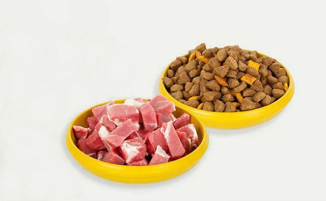 Чем правильно кормить акита-ину: рекомендации по рациону для гостей из Японии1