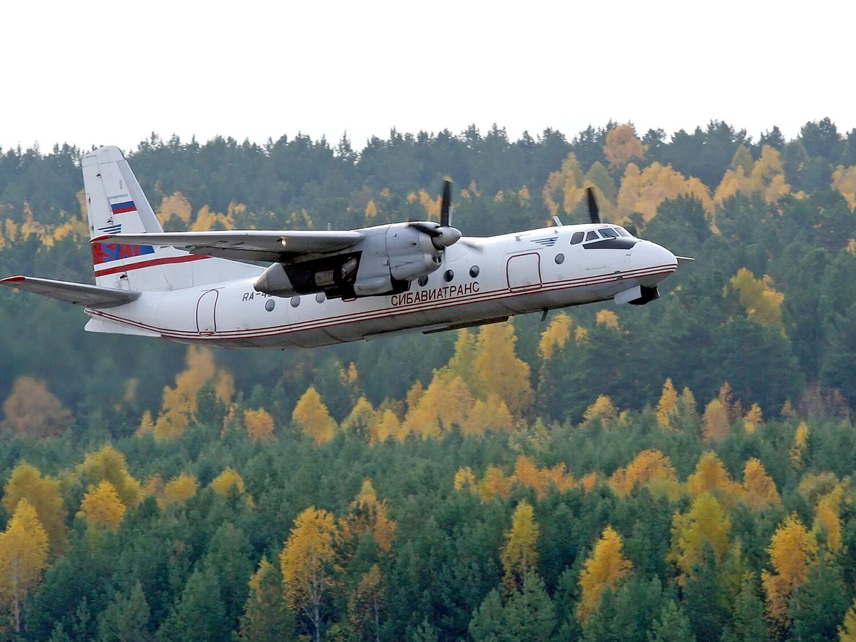 В Амурской области разбился Ан-24 с 43 пассажирами: видео с места крушения стало вирусным0