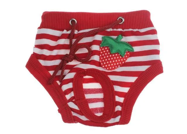 Что делать, если у йорка понос: причины, лечение и советы по уходу в домашних условиях3