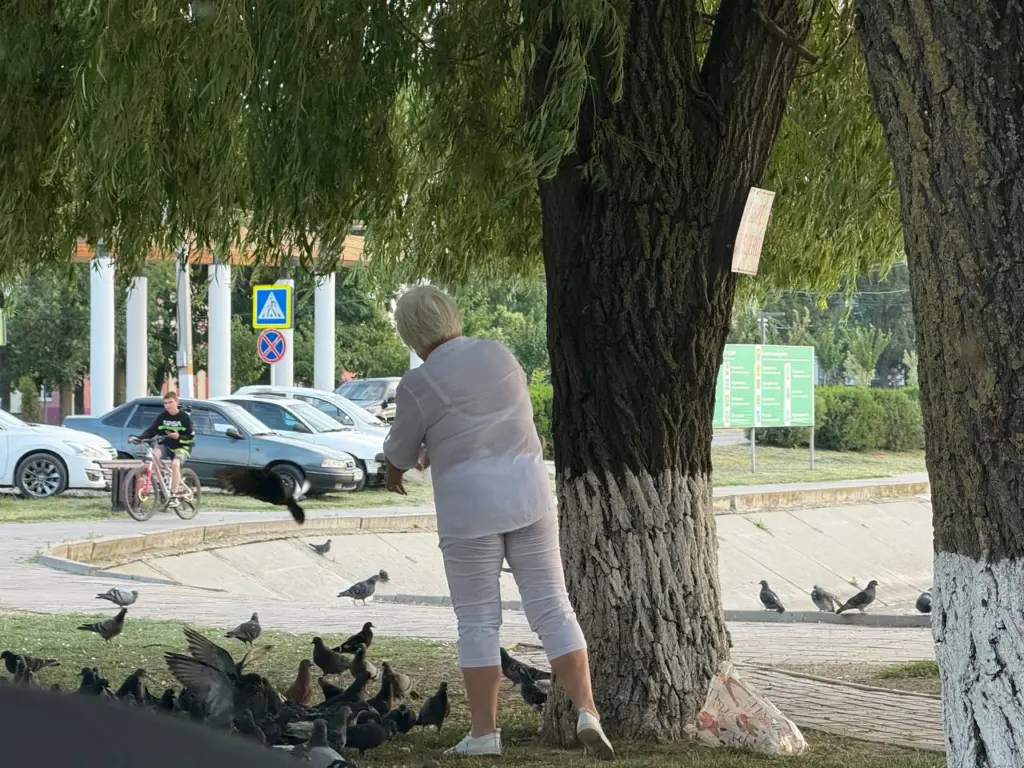 Финансовые потоки обрушатся на вас с небес: три знака зодиака ожидают волну благословений с 12 июля — судьба определила счастливчиков