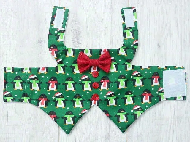 Одежда для русского той-терьера: советы по выбору и пошиву своими руками1