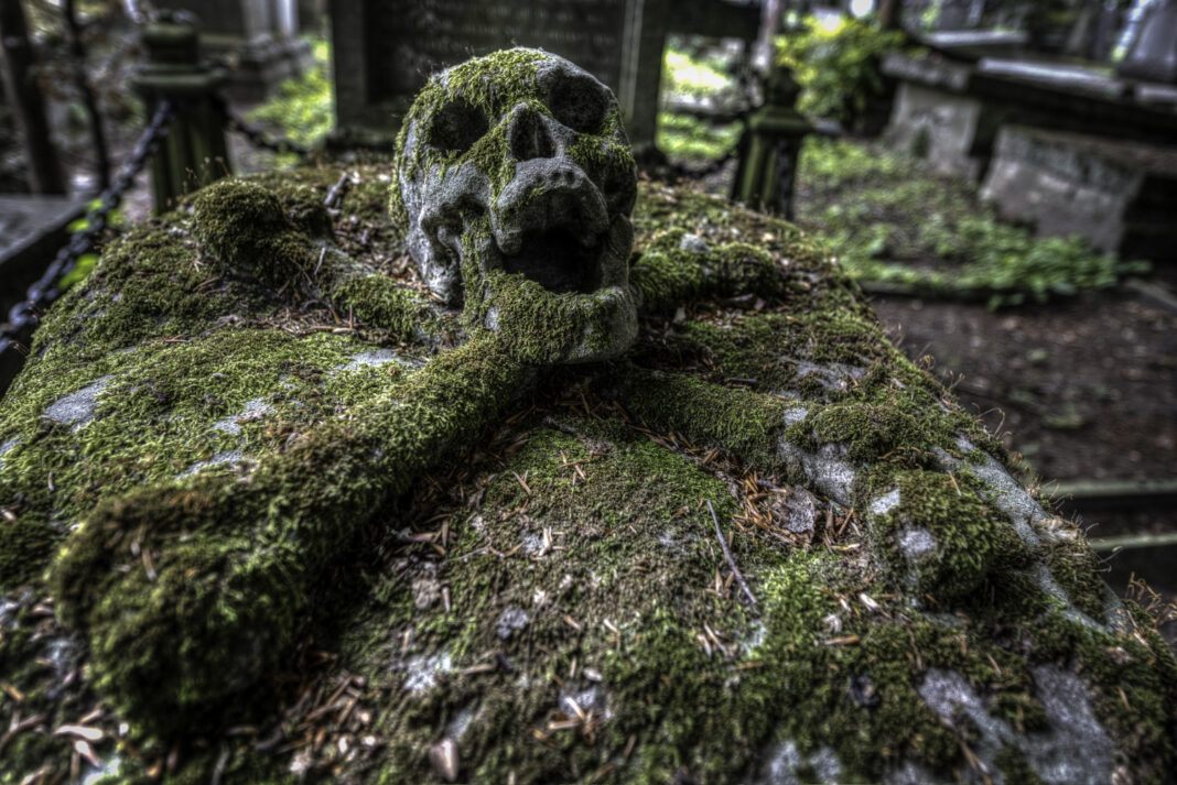 selective-focus-shot-skull-graveyard (1)0