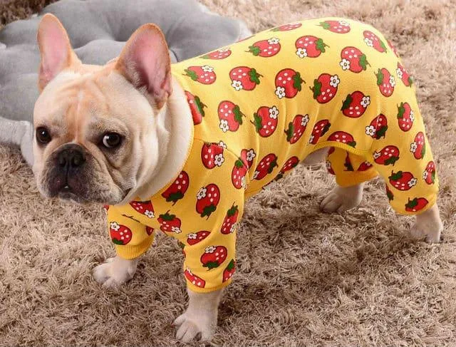 Как проходят роды у французского бульдога: процесс и советы по уходу3