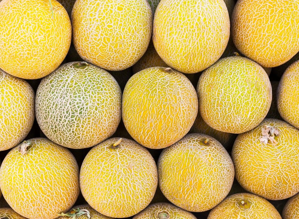 ТОП-5 обязательных продуктов для летнего рациона по мнению нутрициологов0