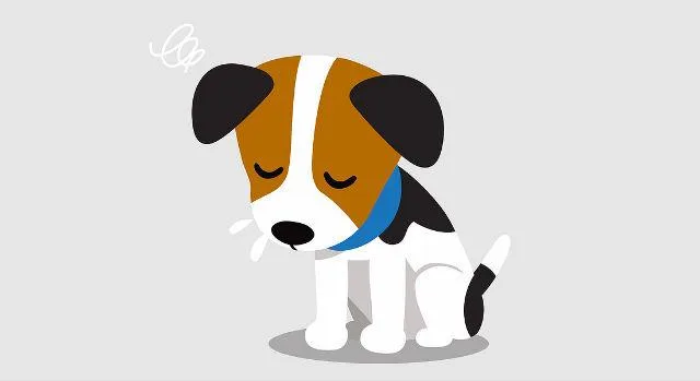 Почему у йорка рвота желтой пеной: причины, первая помощь и эффективное лечение2