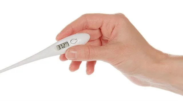 Как защитить померанского шпица от болезней: правила и особенности вакцинации для здоровья вашего питомца3