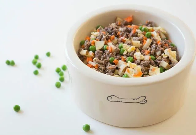 Как проходят роды у французского бульдога: процесс и советы по уходу9