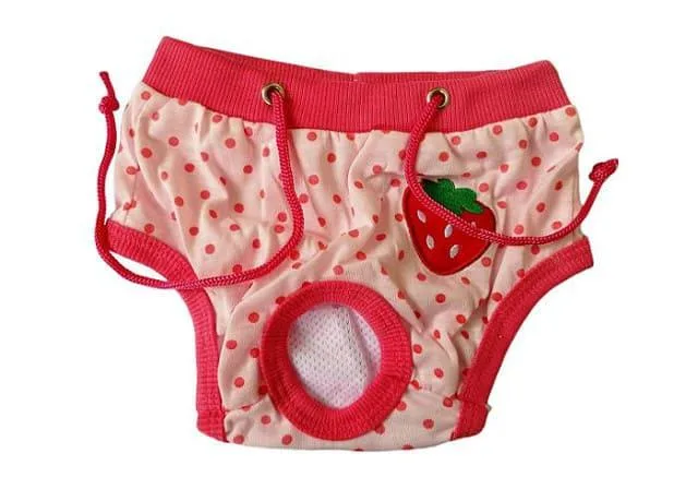 Как правильно выбрать гардероб для йорка: советы и рекомендации4