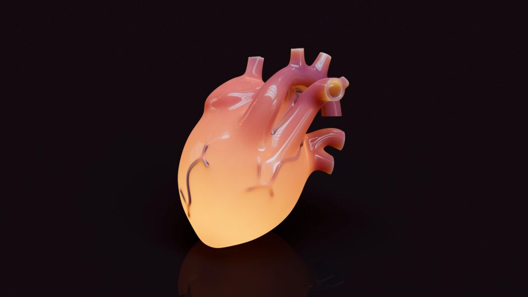 yellow-anatomical-heart-with-brown-background0