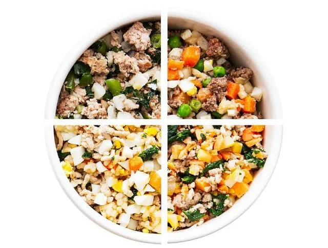 Что кормить джек-рассел-терьеру: правила, рацион и полезные советы по питанию3