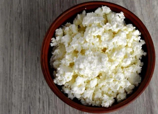 Лучшие способы кормления йоркширского терьера: натуральная пища против сухого корма2