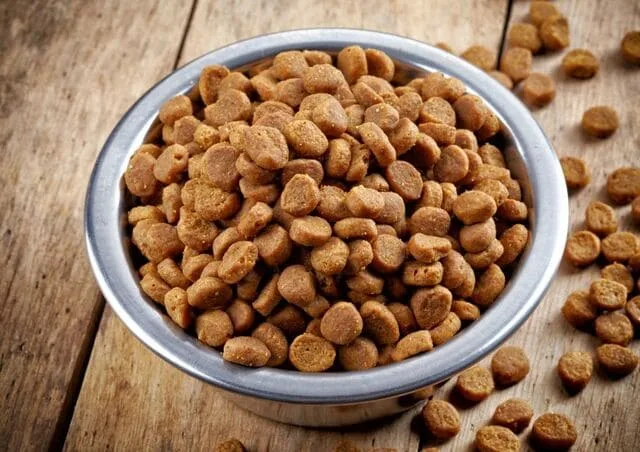 Кормление немецкой овчарки: основные принципы, идеальный рацион и советы опытных кинологов5