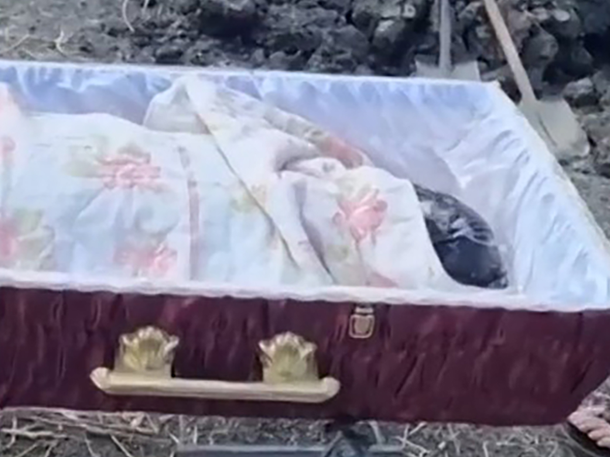Тайны похорон голого ветерана СВО: подробности и неожиданные детали0