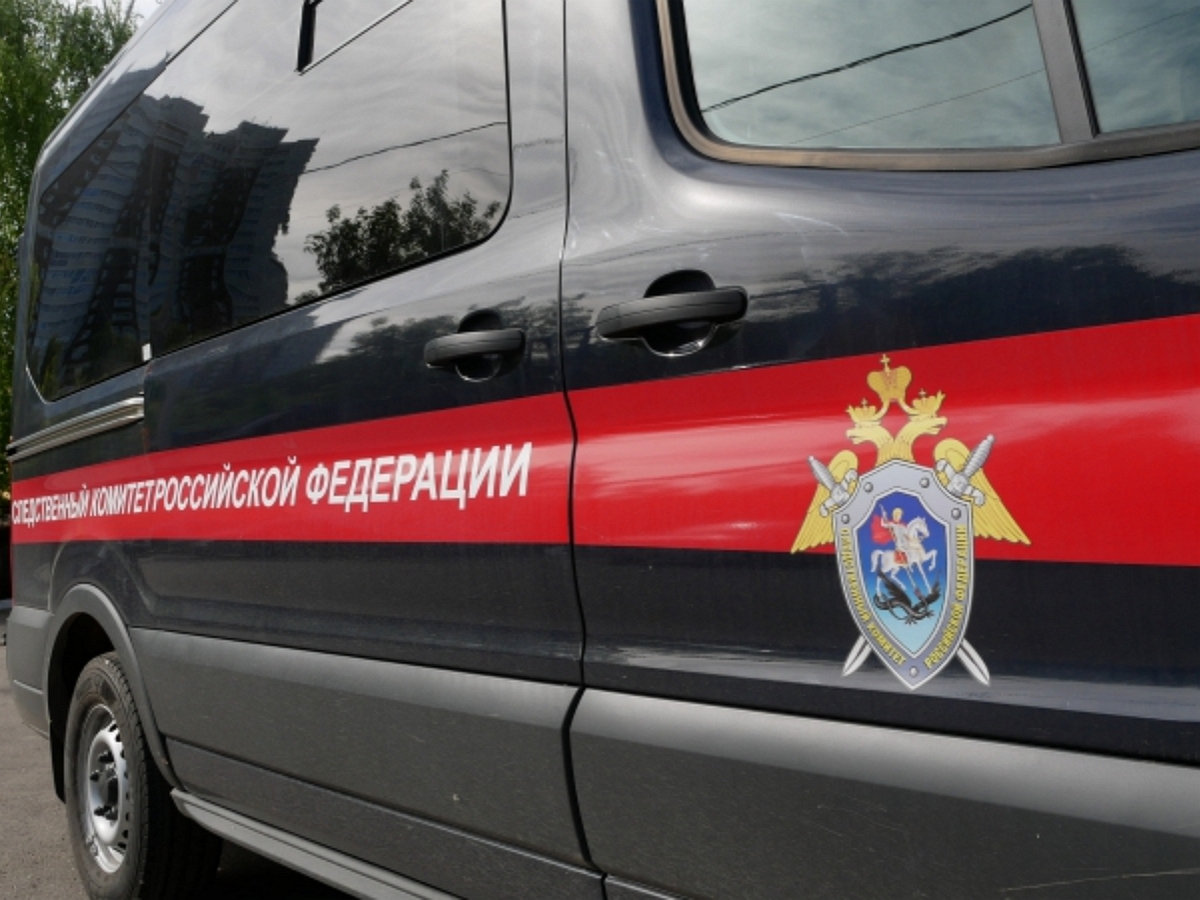 В Брянске цыган жестоко убил беременную школьницу после изнасилования0