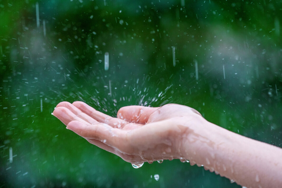 close-up-wet-female-hands-rain0
