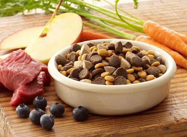 Тойтерьер: полное руководство по уходу за щенками и взрослыми собаками3