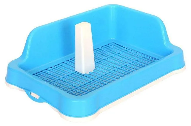 Как правильно приучить йорка к туалету: советы и рекомендации для владельцев1