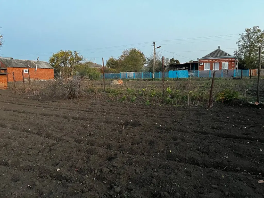 Три года в деревне: как мы нашли новые способы заработка, о которых даже не мечтали в городе