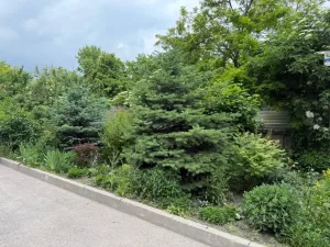 Где в России август — как в Европе? Атмосфера, в которую возвращаются