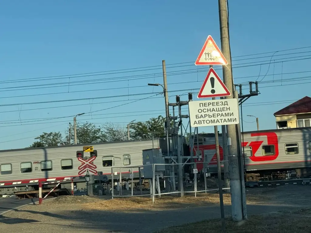 Сверху лучше: 3 убедительные причины отказаться от нижней полки в РЖД раз и навсегда
