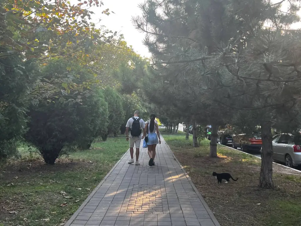 7 явных признаков того, что вы нравитесь человеку и которые невозможно игнорировать