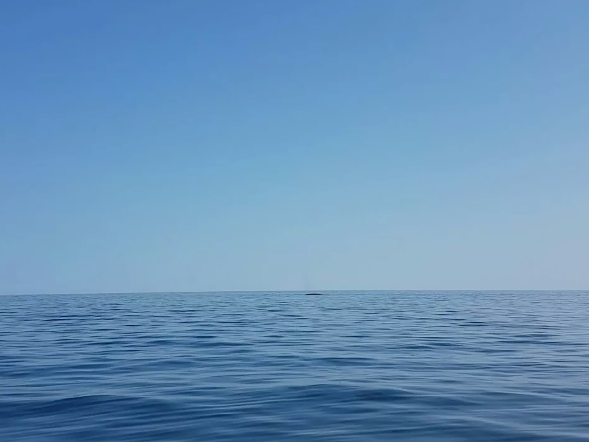 Подробности о смерти россиянина, дрейфовавшего на бочке в море почти неделю, стали известны0