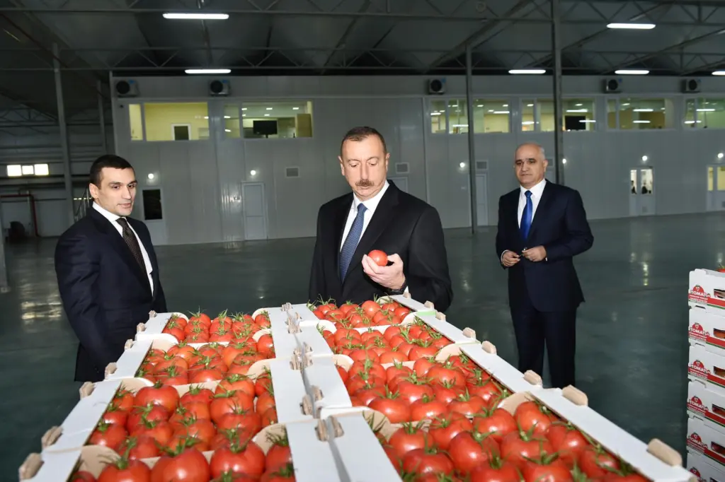 Россия наращивает ответные меры на предательство Алиева: истерика в Баку