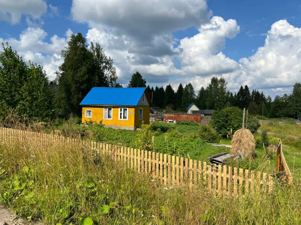 Теперь дом в деревне можно купить за бесценок: причины резкого падения стоимости вашего дома мечты