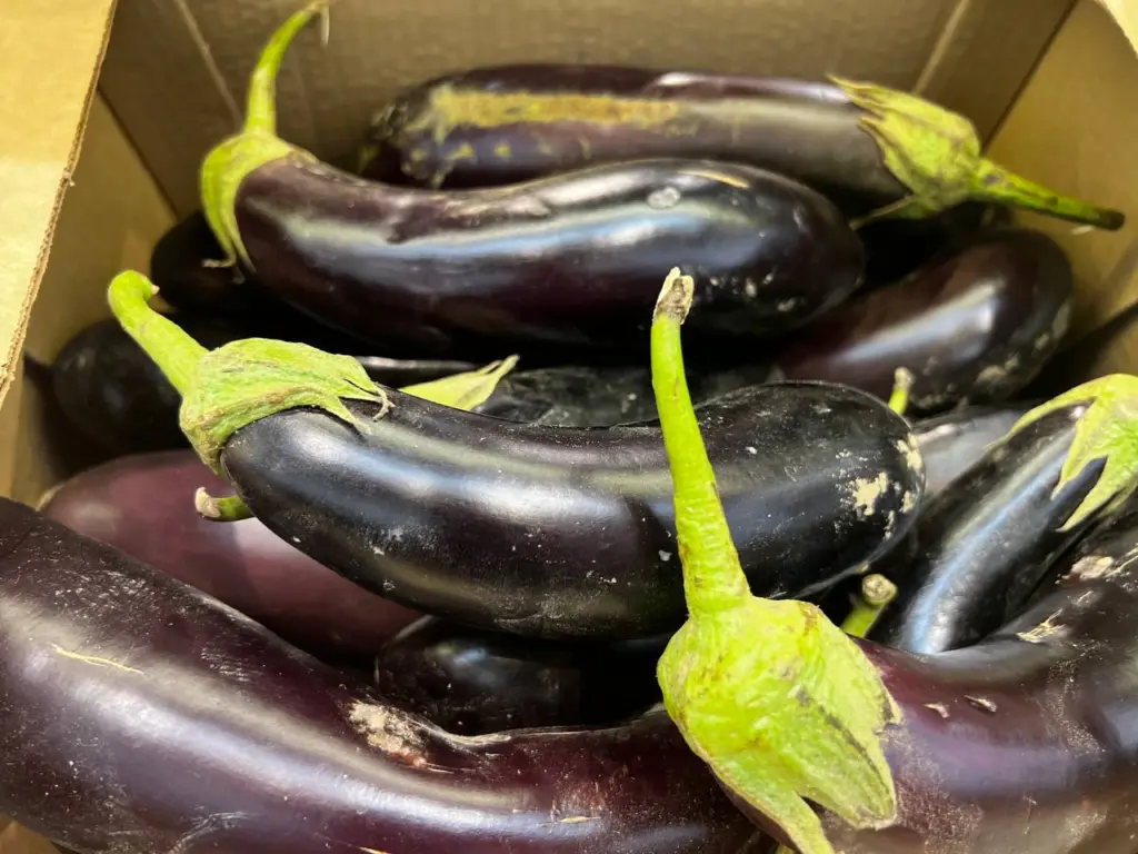 Рецепт баклажанов по-корейски: быстрое и вкусное угощение, которое покорит ваш стол