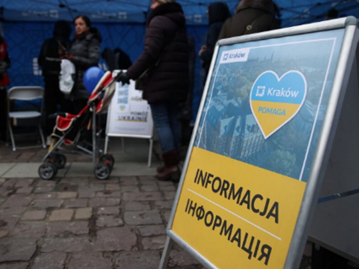 СМИ: Как украинские беженцы обманывали поляков через программу «500+» на протяжении трех лет0
