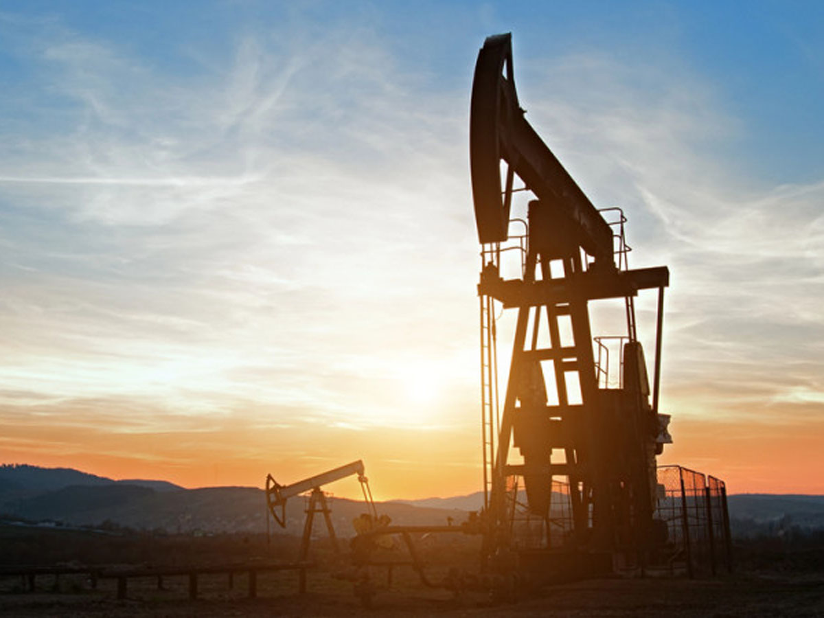 СМИ: США изменили подход к закупкам российской нефти Индией0