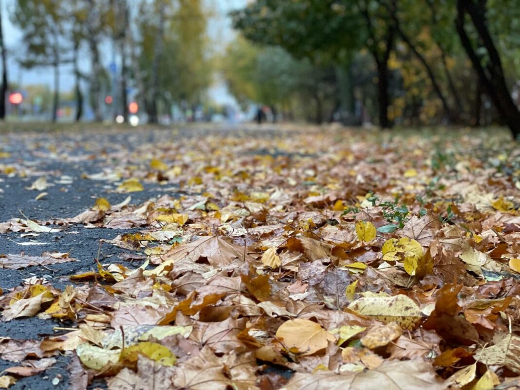 Сентябрь 2023 года: неожиданные климатические аномалии, которые шокируют синоптиков — узнайте новый прогноз0