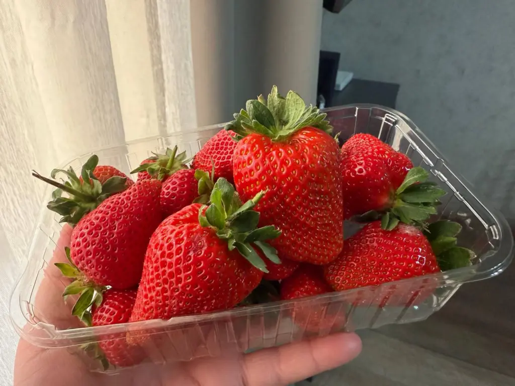 Подготовка клубники к зиме в августе: секреты для богатого урожая на следующий год