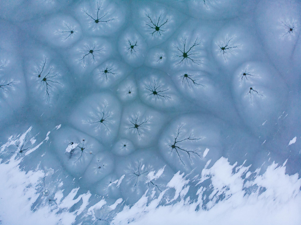 Тиф стал причиной гибели тысяч солдат Наполеона в 1812 году, подтверждают учёные0