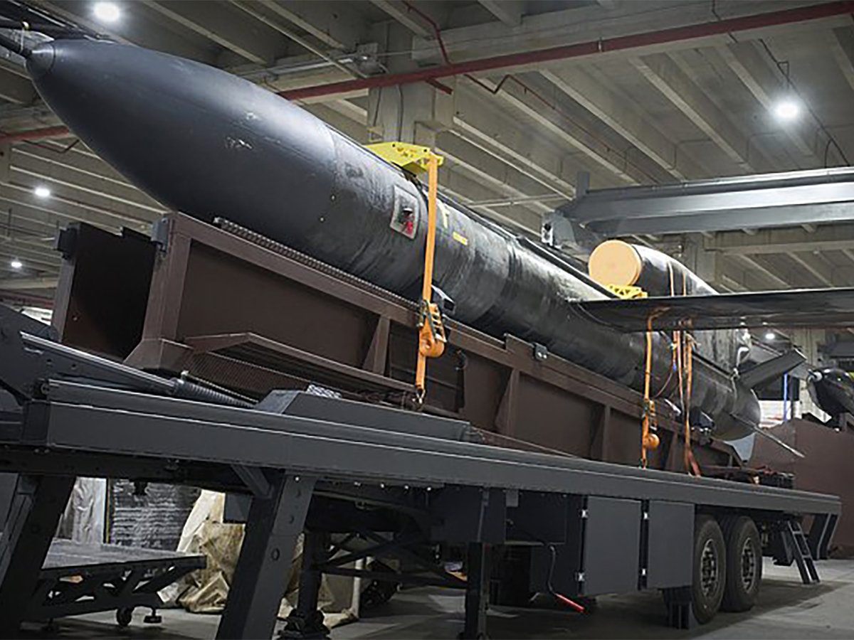 Киев представил новую крылатую ракету «Фламинго» с дальностью 3000 км: что это значит для безопасности России?0