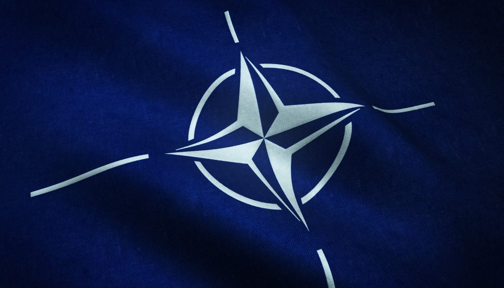 Разговор Трампа и Зеленского: НАТО остается недосягаемой мечтой для Украины0