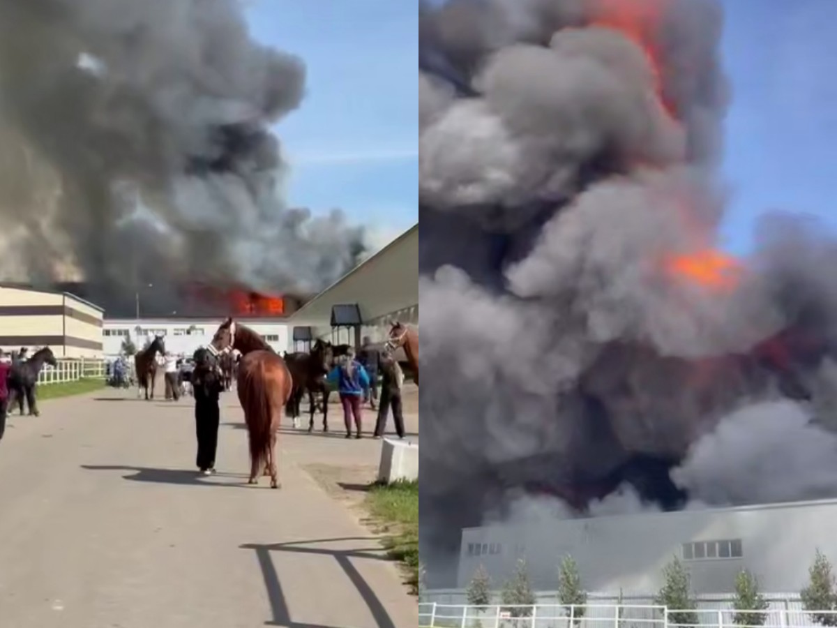 Пожар в Некрасовском на площади 15 тыс. кв. м: угроза для конного клуба и его жителей0