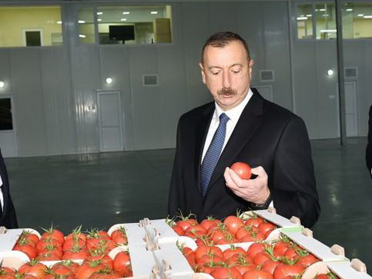 Алиев потерял ключевой рынок: бакинские помидоры гниют на складах без России0