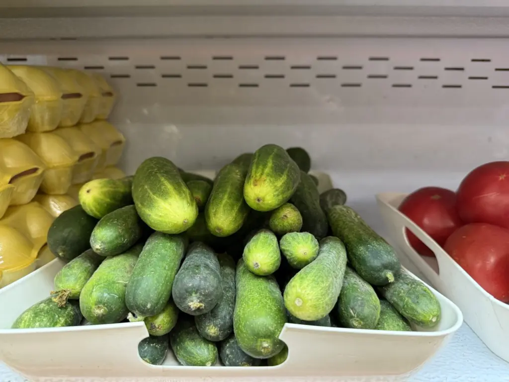 Секреты ухода за огурцами в сентябре: как продлить плодоношение до заморозков с помощью одной ложки на ведро воды