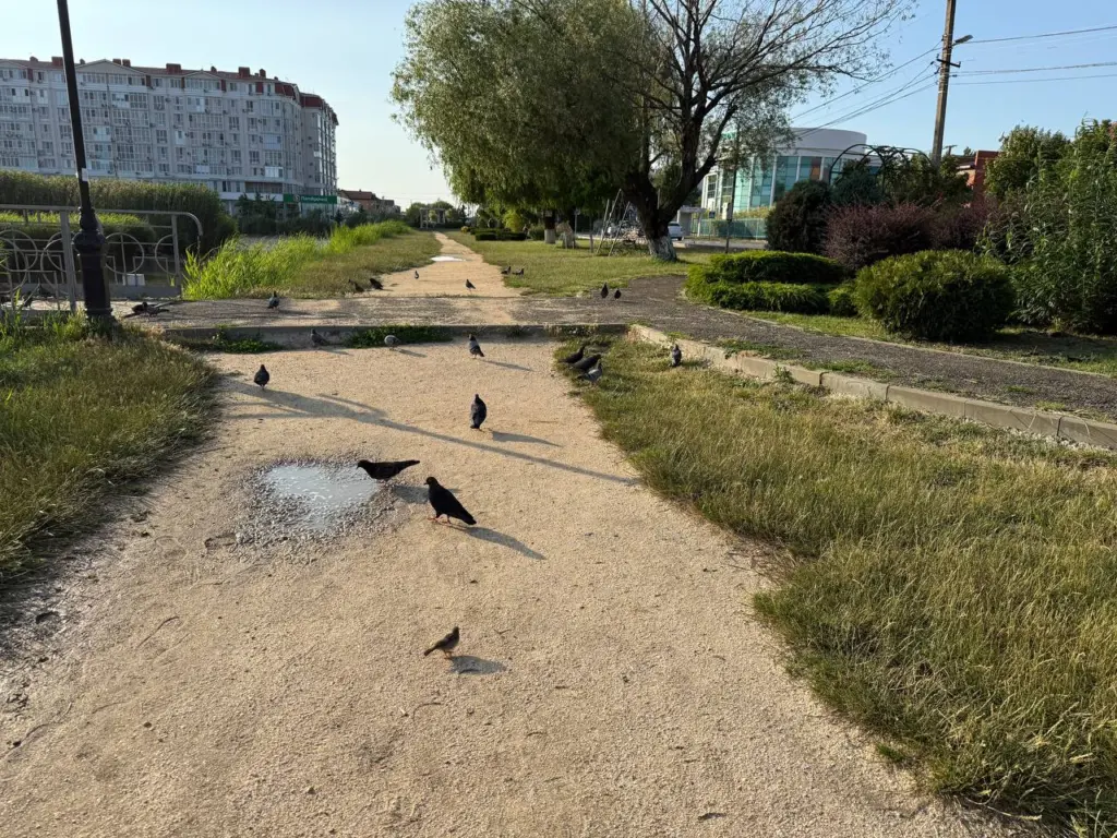 Жара или дожди: свежий прогноз погоды на сентябрь от метеорологов