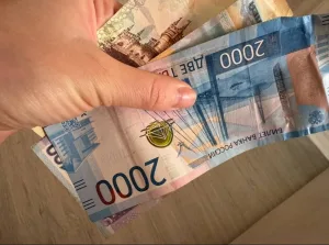 Какая стипендия в колледже в 2025 году: актуальные данные