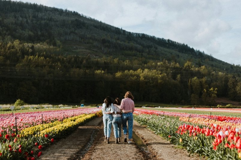 Тематическое фото unsplash.com