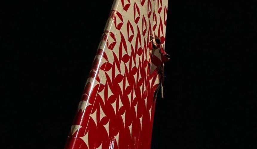 Самолет Hainan Airlines отстранили от полетов после столкновения с лайнером «России» в Шереметьево