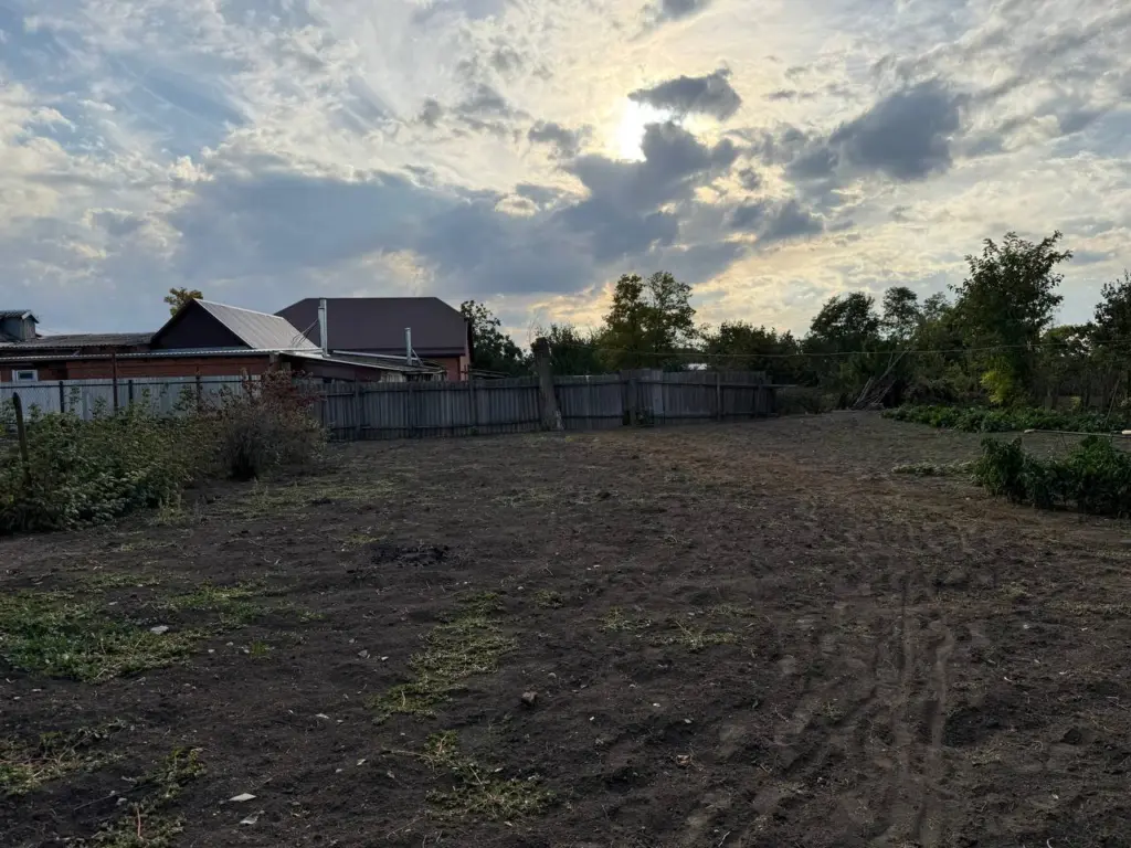 В октябре дачникам достаточно всего 2 ложки на ведро — чернозём обновляется и становится плодородным