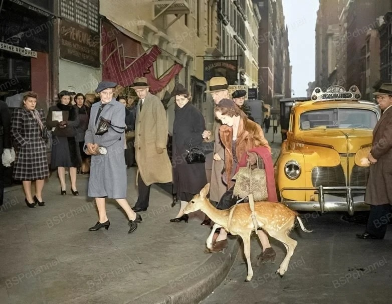 25 исторических фотографий, которые изменят ваше представление о прошлом0