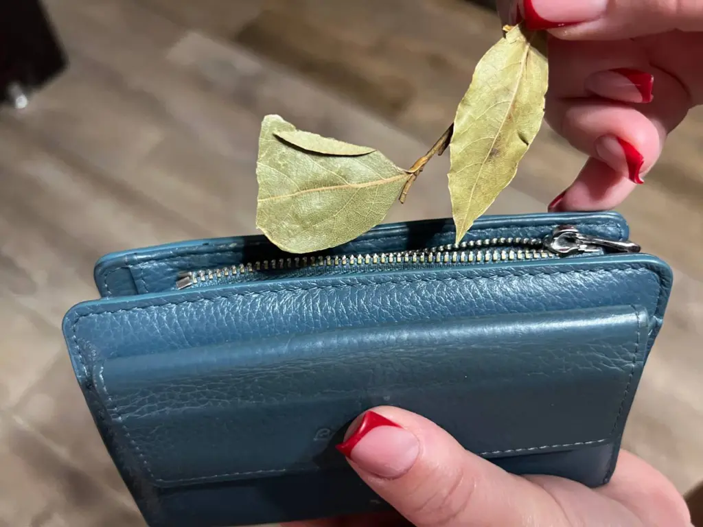 Что делать, если деньги заканчиваются быстро: советы с использованием лаврового листа