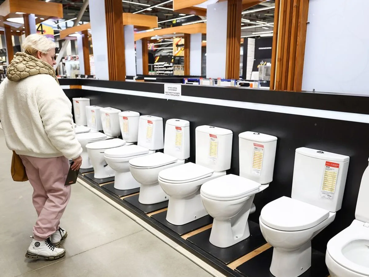 Россия ответила на запрет ЕС на поставки унитазов: "Потужный удар" по европейской экономике0