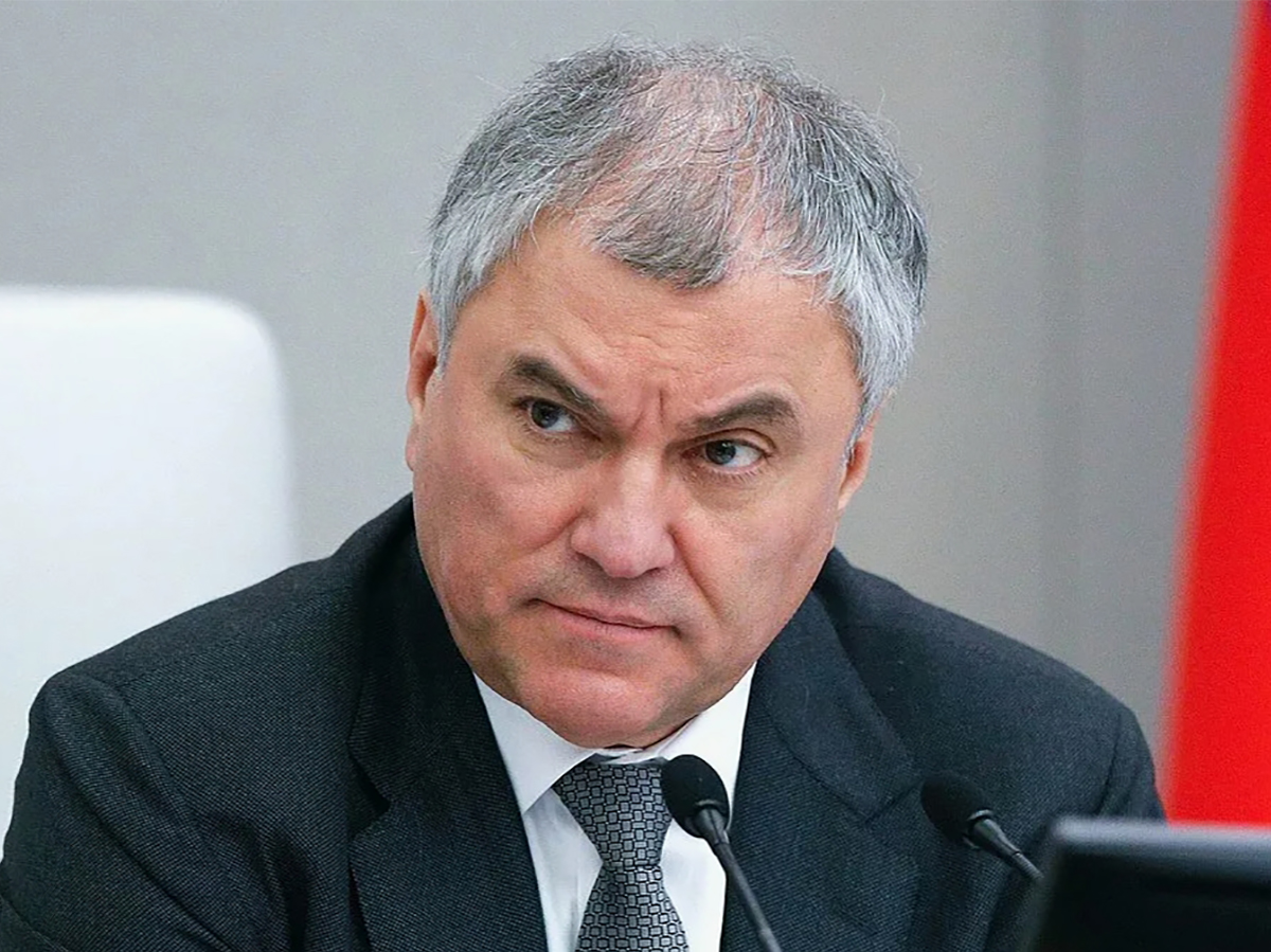 Володин предложил приостановить выплату пенсий иноагентам0