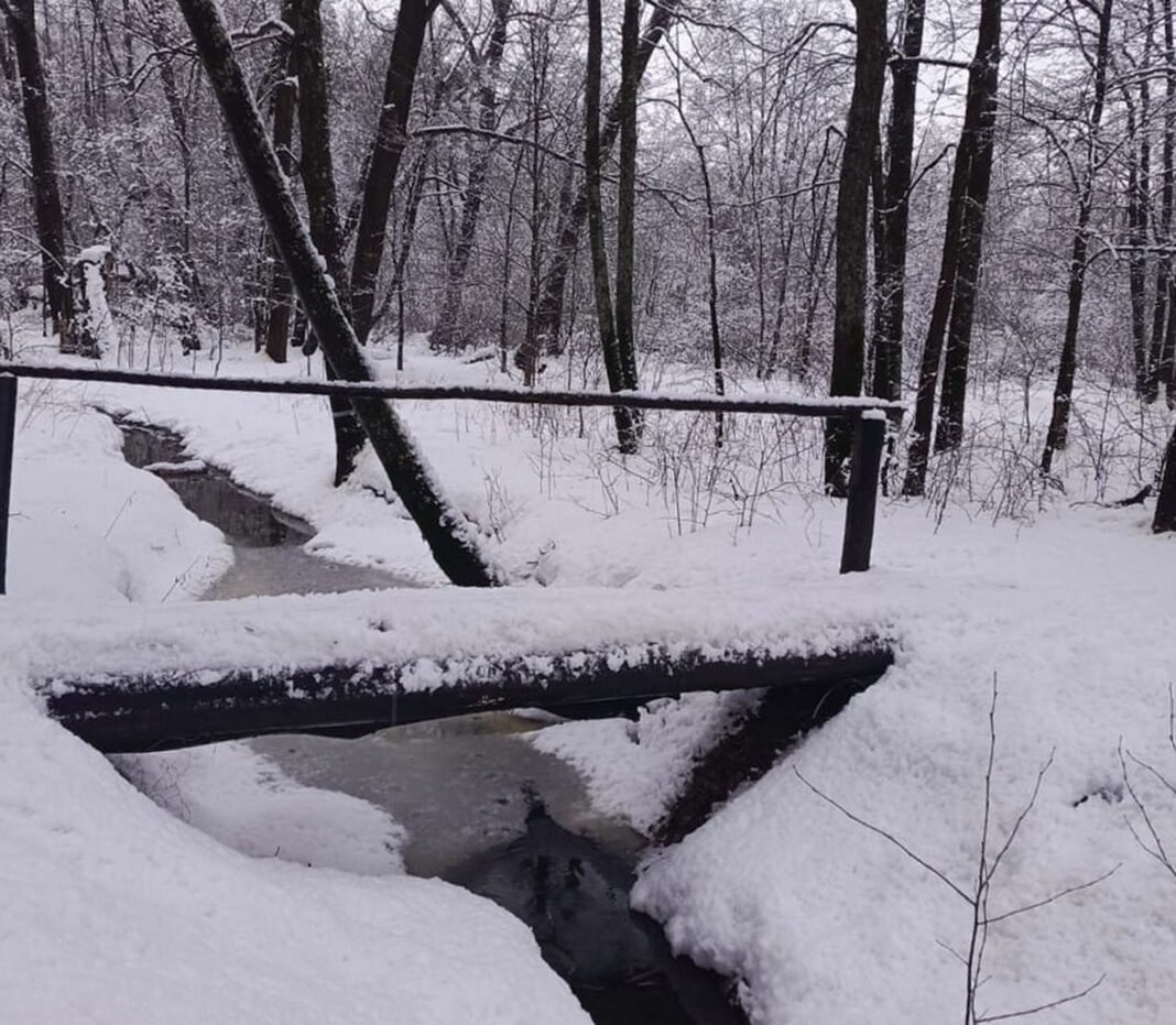 Такой зимы не видели 200 лет: большая погодная аномалия надвигается на Центральную Россию0