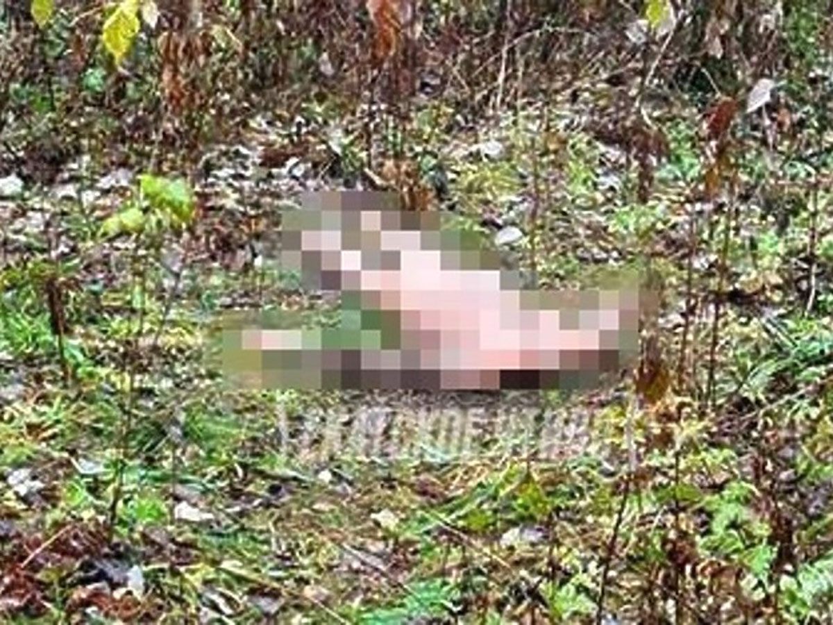 На Урале вновь найдено обезглавленное тело женщины: вторая жертва за неделю0